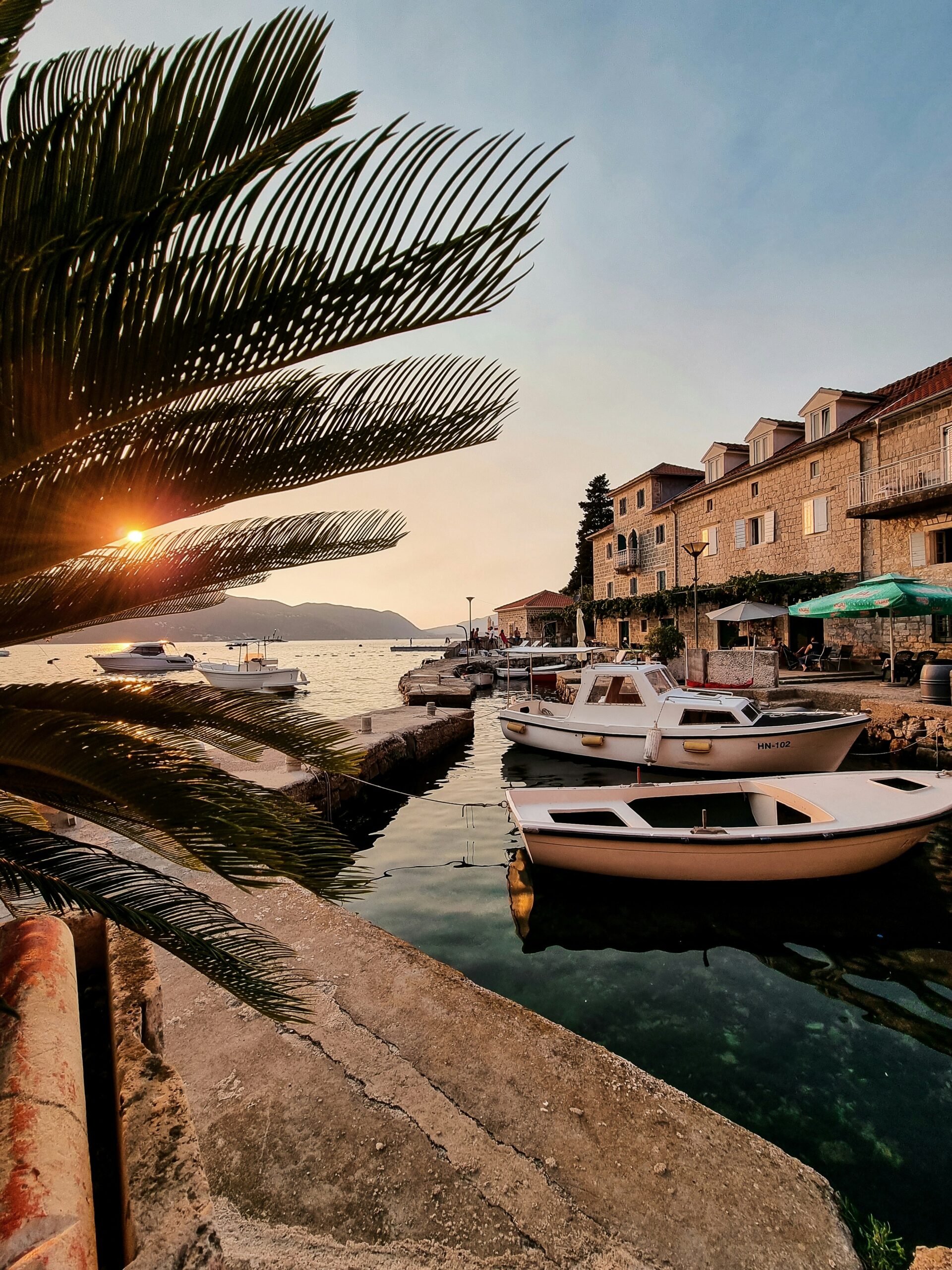 Marina with palm tree